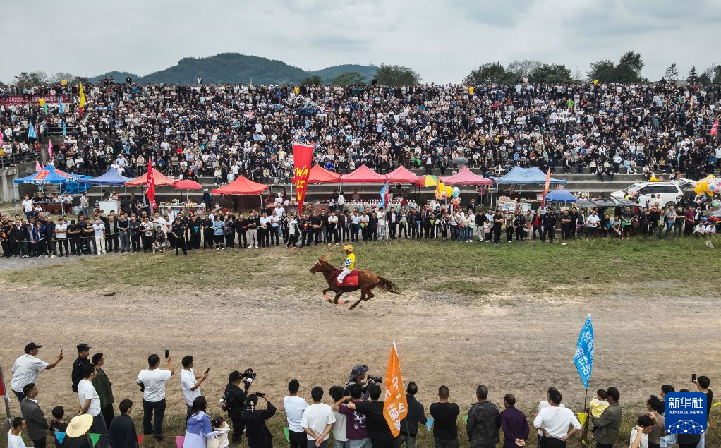 HJC黄金城·集团相关图片